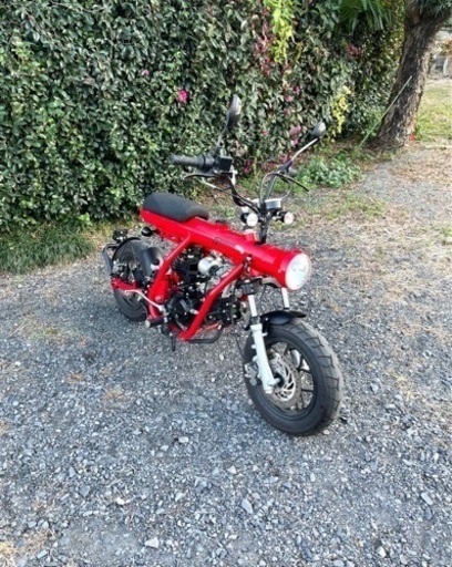 453. 動画あり　PHOENIX ガンナー50 希少　綺麗　原付　バイク　50cc   車体