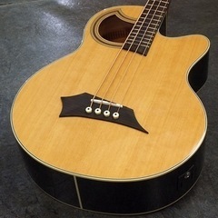 WARWICK Alien Rockbass