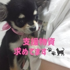 動物保護施設様への支援物資を募ってます。