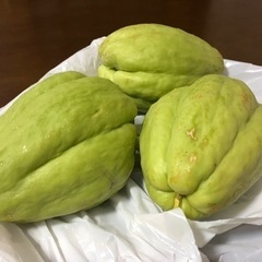 ハヤトウリ