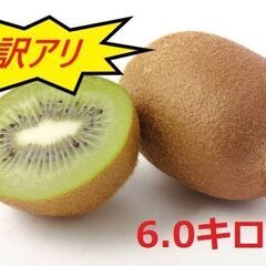 ★訳アリ★【今が旬】キウイの国 愛媛県産グリーンキウイ(約6キロ)