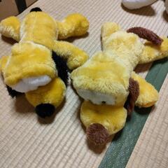 プルート　3匹います　各800円の画像