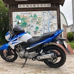 SUZUKI GSR250 美車　低走行の画像