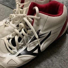 バレーボールシューズ