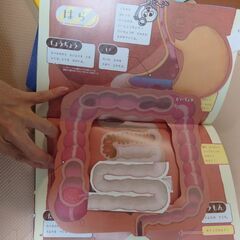 チャレンジ　図鑑シリーズ（しかけ絵本）（12月2日廃棄予定）の画像