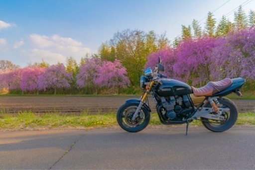 xjr400売ります