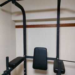 ぶら下がり健康器 懸垂マシン チンニング