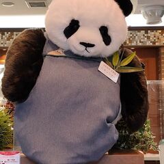 ペンパル募集 would you be my penfriend?