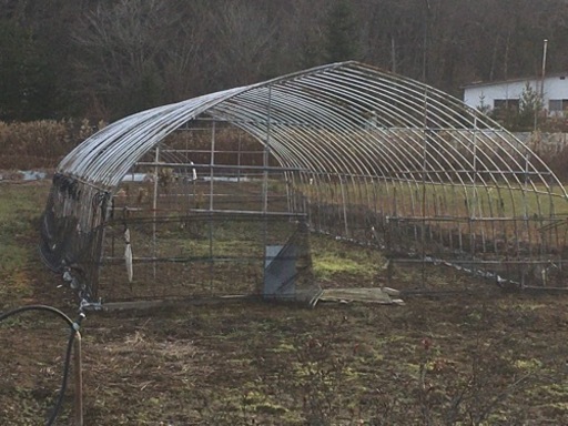 ハウス骨組みのみ