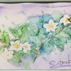 絵画教室「けむりの木」の画像
