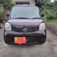 　最終値下げ‼️　早い者勝ち‼️　綺麗なモコ❗