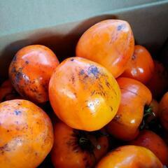 干し柿用今週取りました　一箱1000円での画像