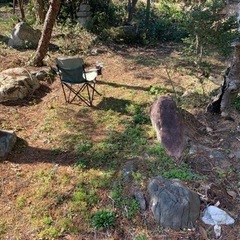 庭石譲りますの画像