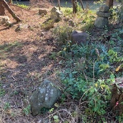 庭石譲りますの画像