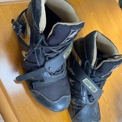 シンプソン、ライダーズシューズ！の画像