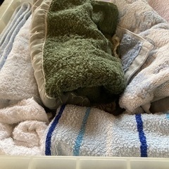 タオルあげますの画像