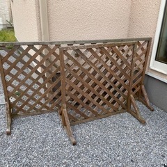 ラティス