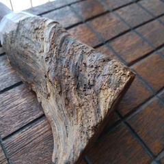 (決定)木彫りの像の画像