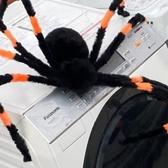 動く！ジャイアント スパイダー 大きい クモ  蜘蛛 目が光る ...