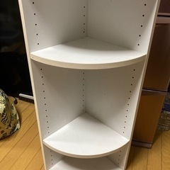 棚？