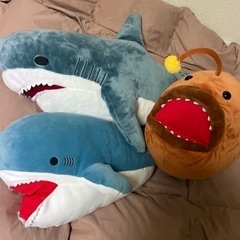 サメ2匹とちょうちんあんこう