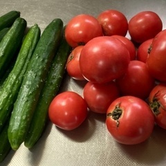 サラダ野菜セット