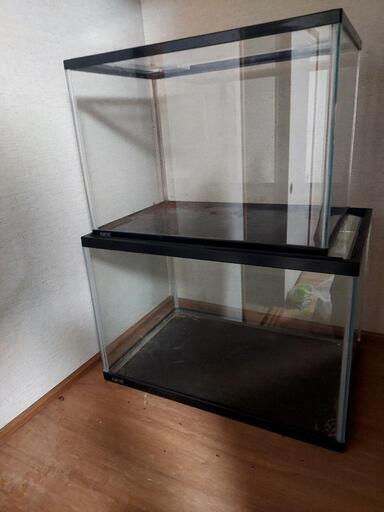 水槽虫かご多数