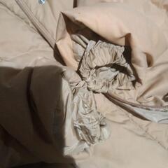 ユニクロUNIQLOダウンの画像