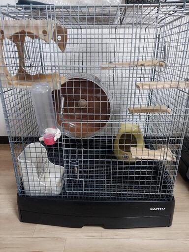 チンチラ　デグー　小動物飼育セット　新品ステップ
