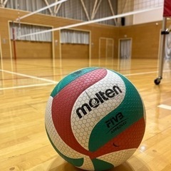 男女混合バレーボールチームNexusメンバー募集