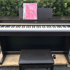 ヤマハ　YDP-162R  (送料無料)