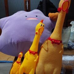 イヴにカラオケしませんか♪時間潰しも大歓迎♪