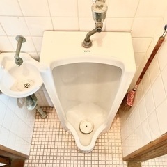【無料】TOTO トイレ/便器/小便器/手洗器の画像