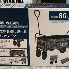 キャンプに！100LキャリーカートWE21DZ96の画像
