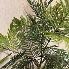 フェイクグリーン　観葉植物の画像