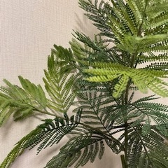 フェイクグリーン　観葉植物の画像