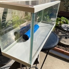 水槽の画像