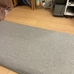 カインズの長座布団　ロングフロアクッションの画像