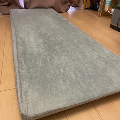 カインズの長座布団　ロングフロアクッションの画像