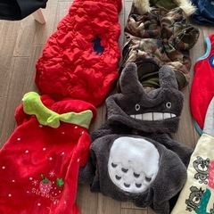 小型犬　犬用服等まとめ売りの画像