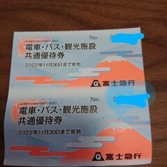 相模湖リゾートプレジャーフォレスト　イルミリオン2022 入園無...