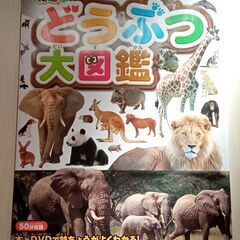 図鑑　「どうぶつ大図鑑」DVD付き