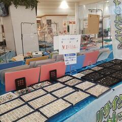 急募、ド短期、リサイクルフェアの搬出作業の画像