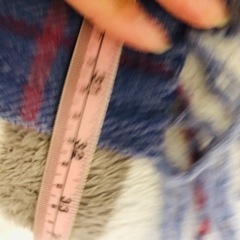 🌟ストール🌟の画像