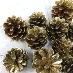 まつぼっくり　10個　（1個おまけ）消毒済みの画像