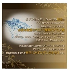 デマレ GFアミノローション 日本製の画像