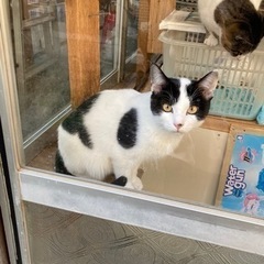 里親さんが決まりました⭐︎ − 秋田県