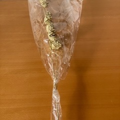 新品　ドライフラワーの画像