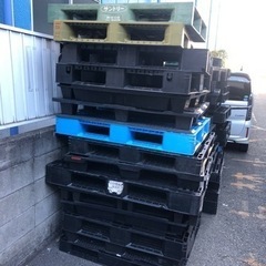 プラスチック製パレット　沢山　サイズ色々有りの画像