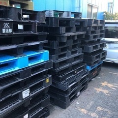 プラスチック製パレット　沢山　サイズ色々有りの画像
